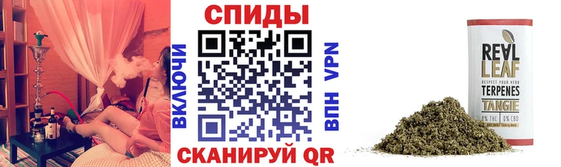 закладка  Олёкминск  БУТИРАТ бутандиол 