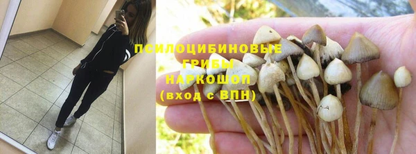 каннабис Белокуриха