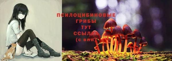каннабис Богородицк