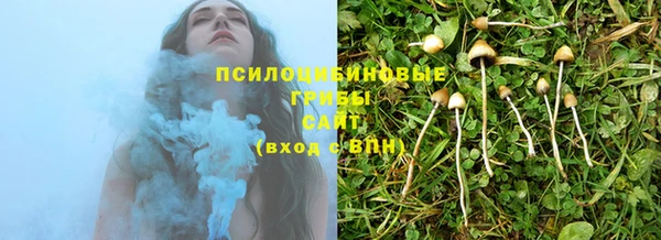каннабис Белокуриха