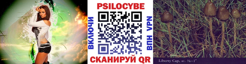 Псилоцибиновые грибы ЛСД  MEGA онион  Олёкминск 